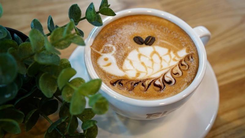 Tortuga Latte